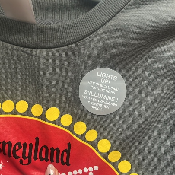 Disneyland Main-street Electrical Parade  50th Sweatshirt - Picture 3 of 5